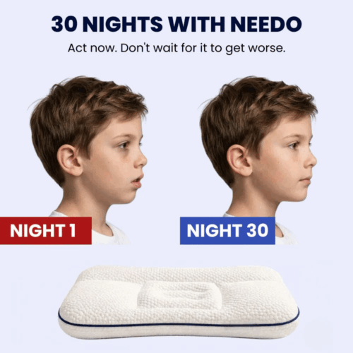 LittleBear Posture Kids Pillow (Official Retailer) [year]