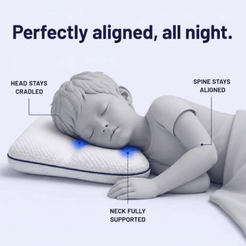 LittleBear Posture Kids Pillow (Official Retailer) [year]